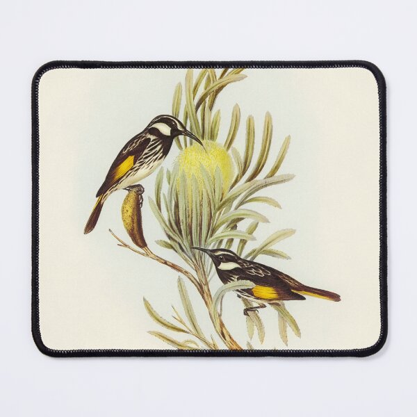Item preview, Moustached Honey-eater designed and sold by ncbennett.