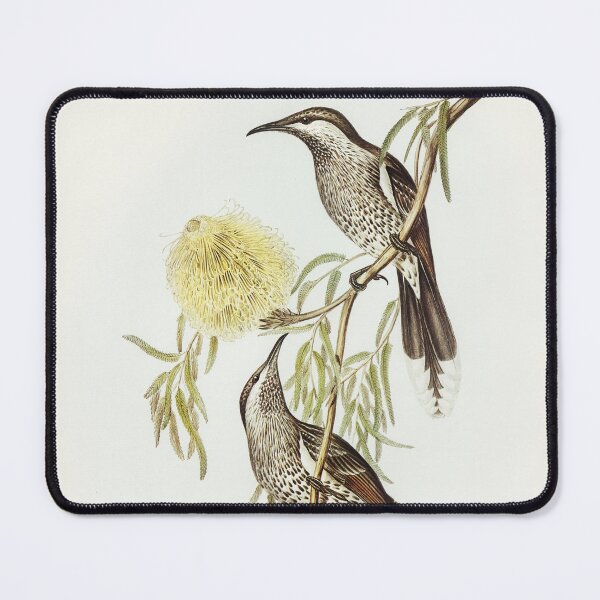 Item preview, Lunulated Wattle Bird designed and sold by ncbennett.