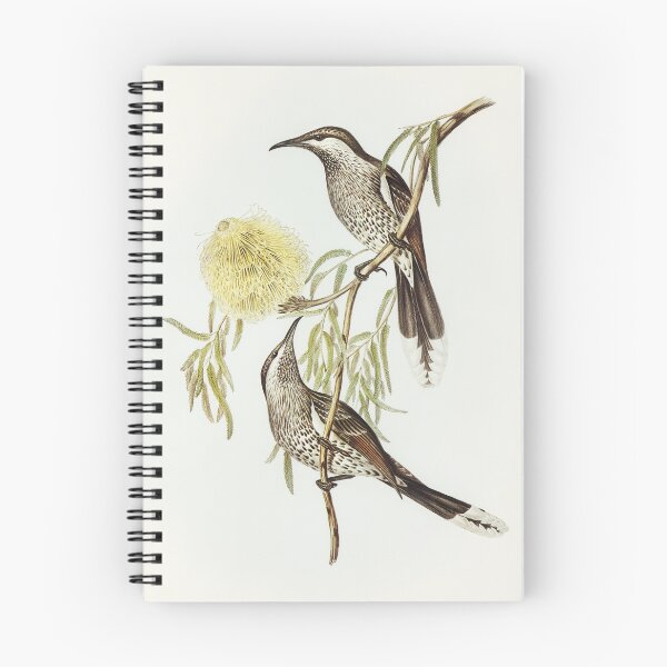 Item preview, Lunulated Wattle Bird designed and sold by ncbennett.