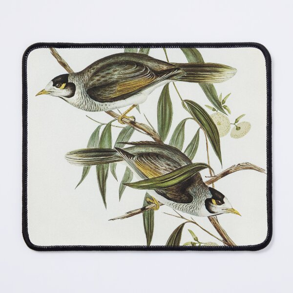 Item preview, Garrulous Honey-eater designed and sold by ncbennett.