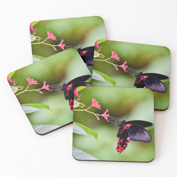 Item preview, Hungry Scarlet Mormon Butterfly designed and sold by richardbryce.