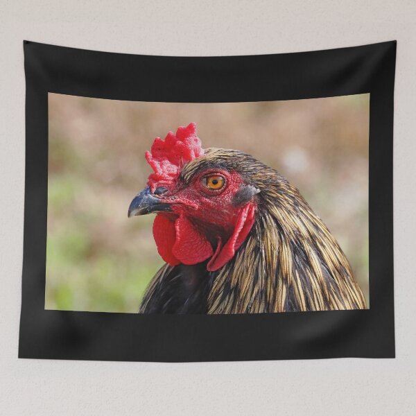 Item preview, Mr Rooster designed and sold by Deb Oppermann.