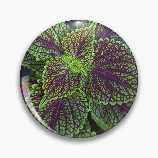 Item preview, Serene Peaceful Silent Garden designed and sold by MyPhotoDreams.