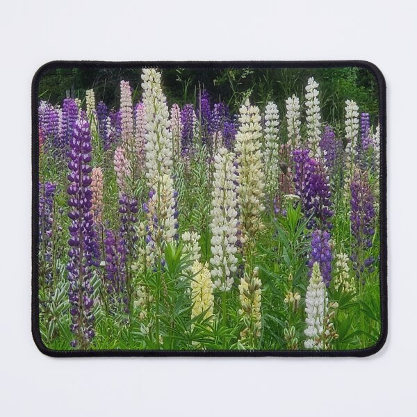 Item preview, Lupine Meadow designed and sold by Alla Gill.
