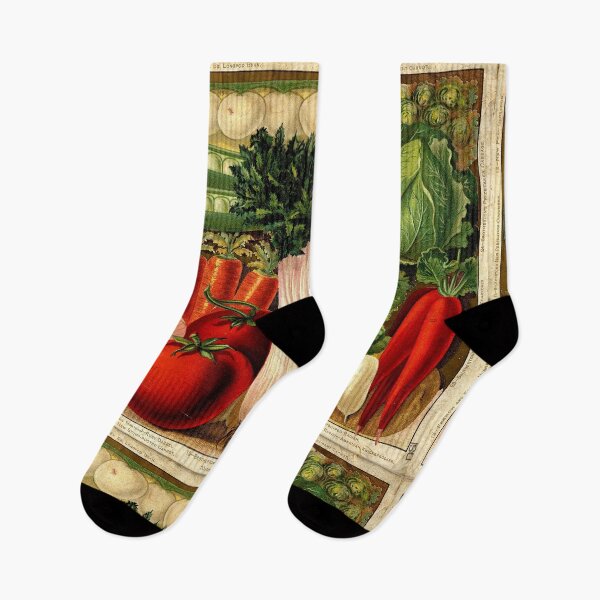 Item preview, Cabbages, Carrots, Celery, Cucumbers, Tomatoes - Brotherton 1897 Vintage Seeds designed and sold by killies.
