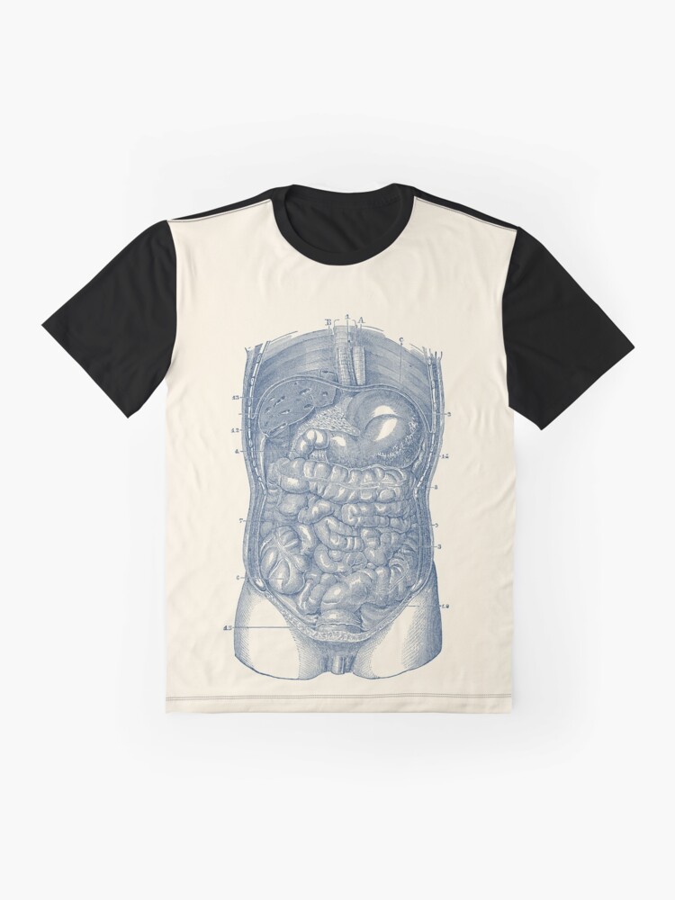 t shirt digestive system