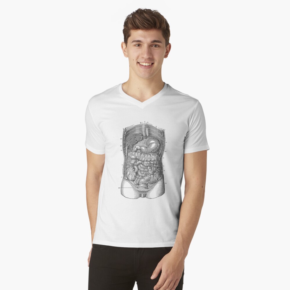 t shirt digestive system