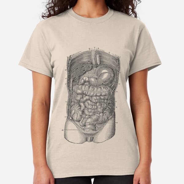 t shirt digestive system