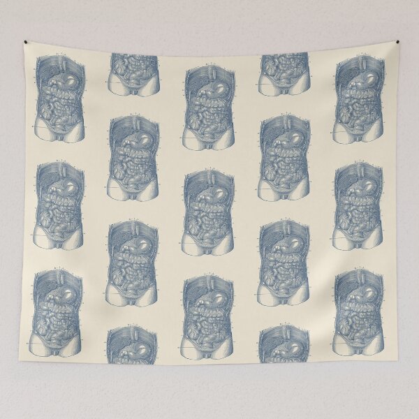 Item preview, Digestive System Diagram designed and sold by VAposters.