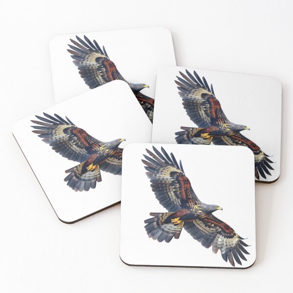Item preview, Crested Serpent-eagle Low polygon illustration for birds lovers and nature lovers. designed and sold by wonderisland.
