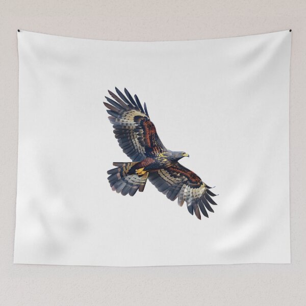 Item preview, Crested Serpent-eagle Low polygon illustration for birds lovers and nature lovers. designed and sold by wonderisland.
