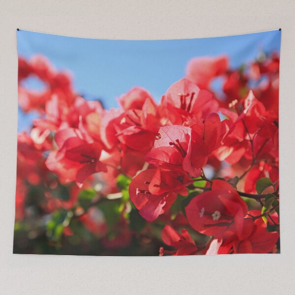 Item preview, Bougainvilleas designed and sold by Gaspar Avila.