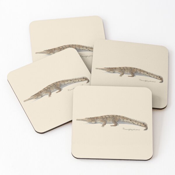 Item preview, Crocodylus johnstoni [Australia's freshwater crocodile] designed and sold by Hannah Mathews.