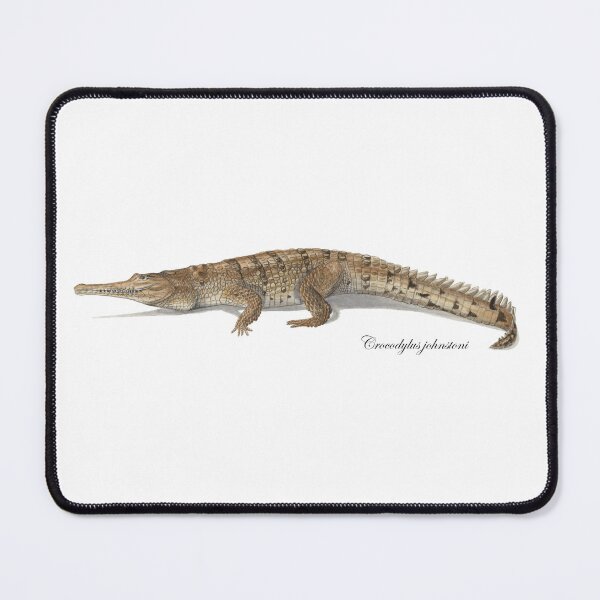 Item preview, Crocodylus johnstoni [Australia's freshwater crocodile] designed and sold by Hannah Mathews.