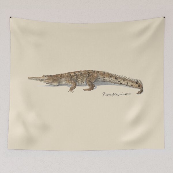 Item preview, Crocodylus johnstoni [Australia's freshwater crocodile] designed and sold by Hannah Mathews.