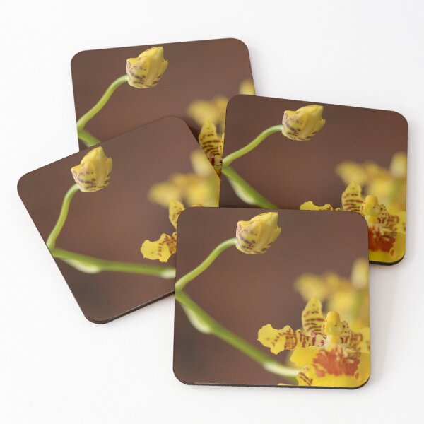 Item preview, Orchid flower buds in the garden designed and sold by Fran Cost.