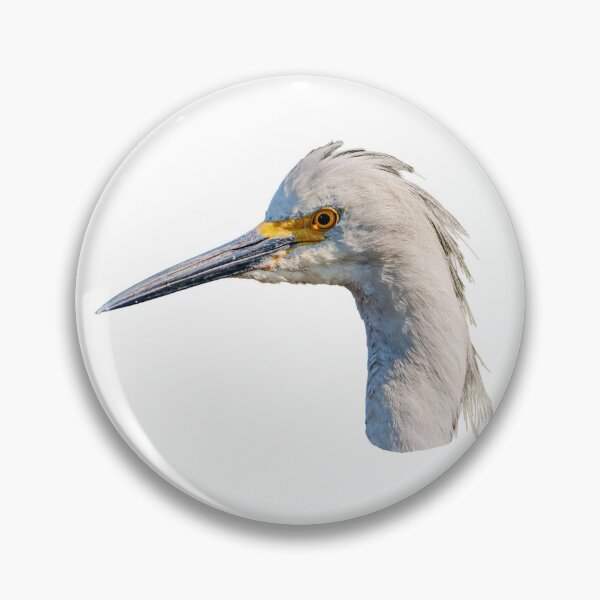 Item preview, Little Egret headshot designed and sold by Dalyndigital Photography.