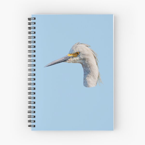 Item preview, Little Egret headshot designed and sold by Dalyndigital Photography.