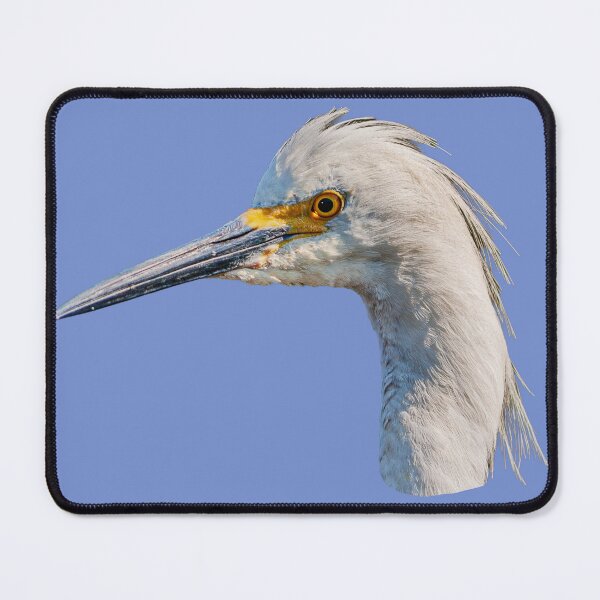 Item preview, Little Egret headshot designed and sold by Dalyndigital Photography.