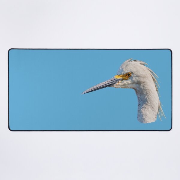 Item preview, Little Egret headshot designed and sold by Dalyndigital Photography.