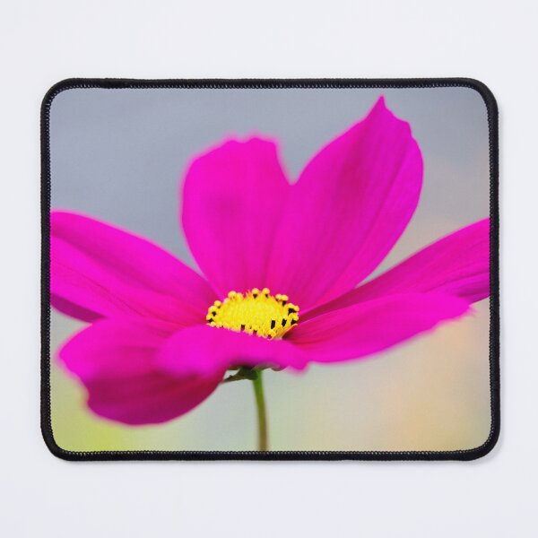 Item preview, A Pink Cosmos Flower designed and sold by Tanya C Smith.