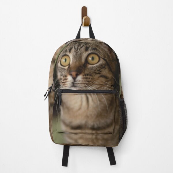 Item preview, Big eyes of a curious attentive cat designed and sold by Fran Cost.