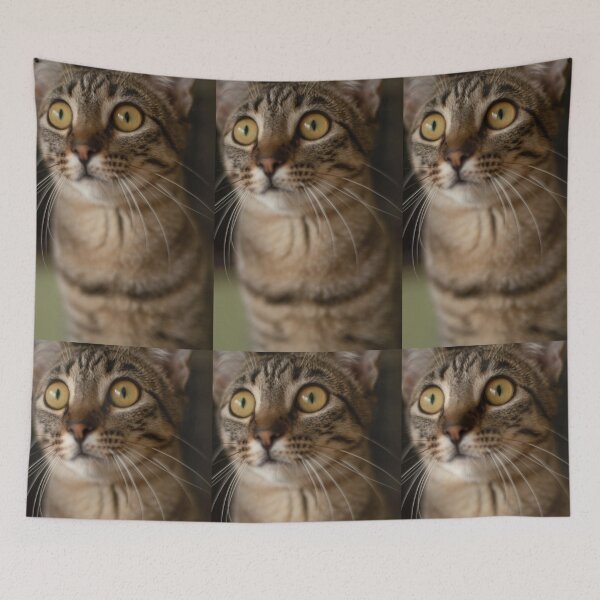 Item preview, Big eyes of a curious attentive cat designed and sold by Fran Cost.