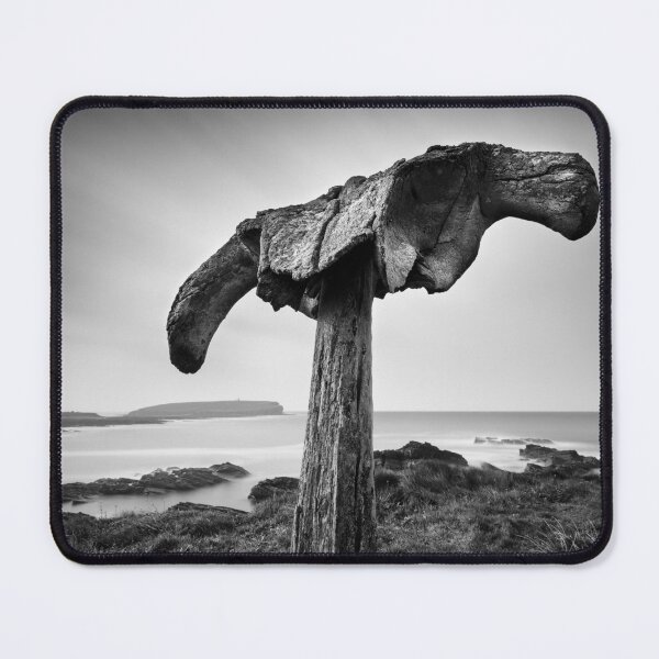 Item preview, Whalebone designed and sold by David Bowman.