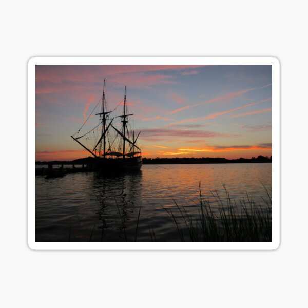 Item preview, The Maryland Dove  designed and sold by Tonia Delozier's Photography .