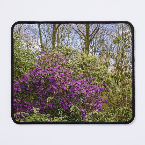 Item preview, Purple Rhododendron - Woodland Flora designed and sold by MichaelBShannon.