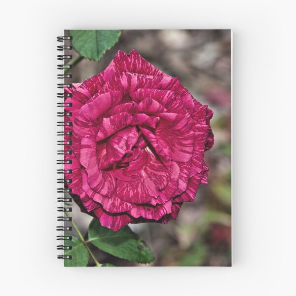 Item preview, Rose Leith Park 20180123 2140  designed and sold by Fred Mitchell.