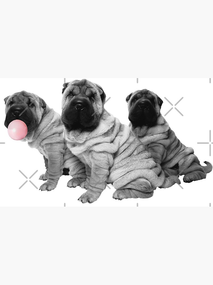 Tarjetas De Felicitacion Chino Shar Pei Puppies Con Bubble Gum Negro Blanco Cute Nursery Child S Room Art De Colorflowart Redbubble