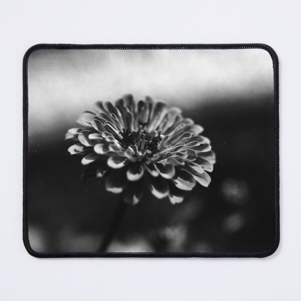 Item preview, Summer Zinnia designed and sold by Jake Kauffman.
