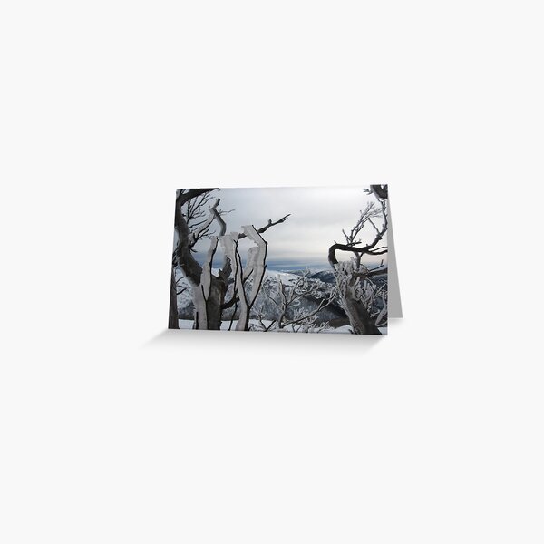 Item preview, NSW ALPS designed and sold by Rodney Wallbridge.