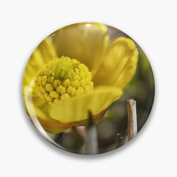 Item preview, Goldilocks Buttercup designed and sold by Jason Tompkins.