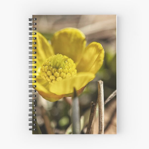 Item preview, Goldilocks Buttercup designed and sold by Jason Tompkins.