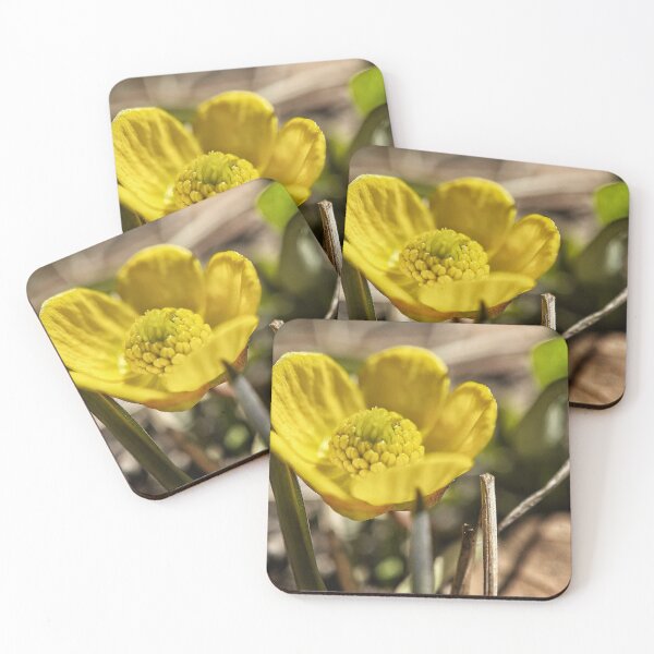 Item preview, Goldilocks Buttercup designed and sold by Jason Tompkins.