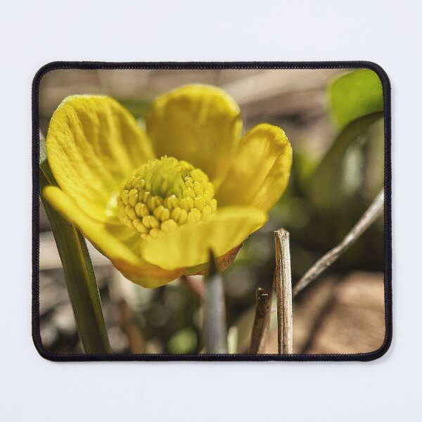 Item preview, Goldilocks Buttercup designed and sold by Jason Tompkins.