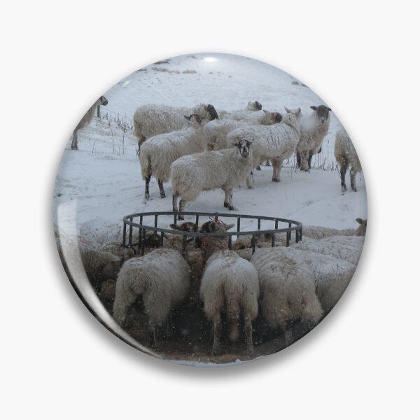 Item preview, Sheep herd being fed in winter snow in England designed and sold by iancoppack.