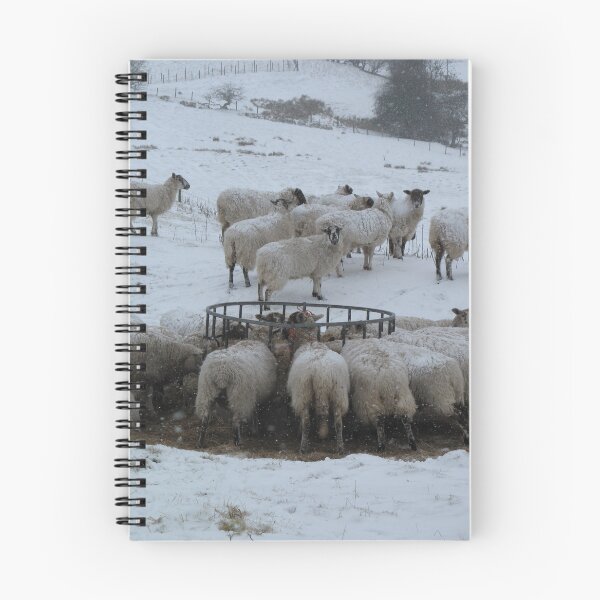 Item preview, Sheep herd being fed in winter snow in England designed and sold by iancoppack.