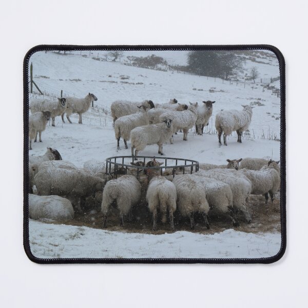 Item preview, Sheep herd being fed in winter snow in England designed and sold by iancoppack.