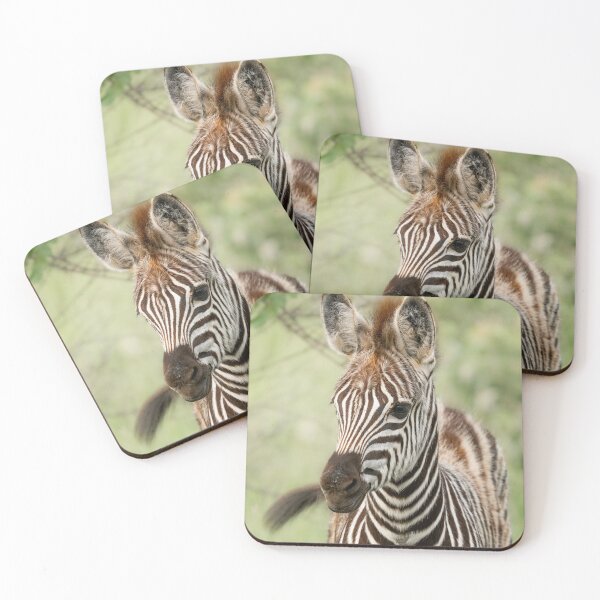 Item preview, Zebra Foal designed and sold by MyAfricanSafari.