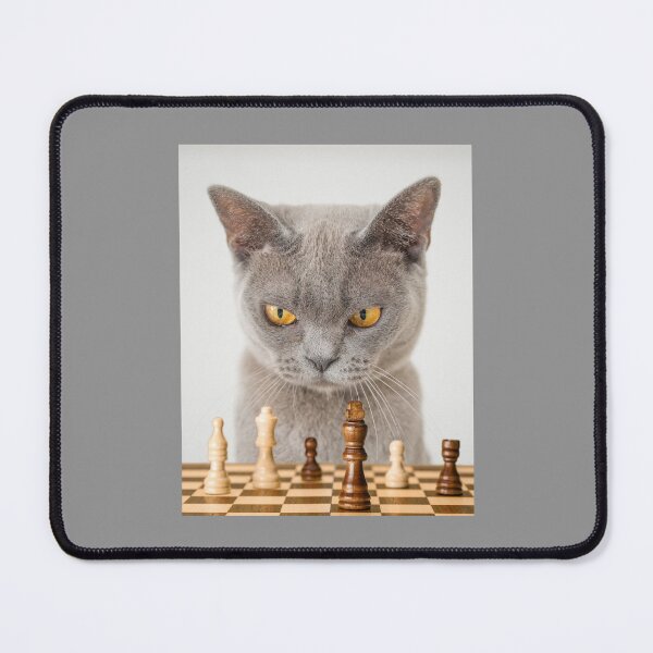 Item preview, Chess Cat designed and sold by AMERICANCHEEZ.