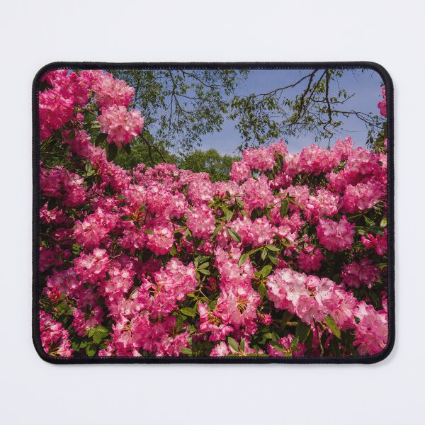 Item preview, Pink Rhododendron Bush designed and sold by MichaelBShannon.