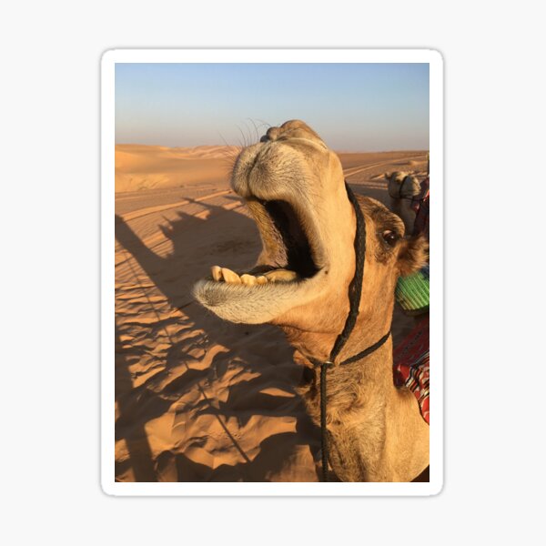 Item preview, Camel designed and sold by bellascar5.