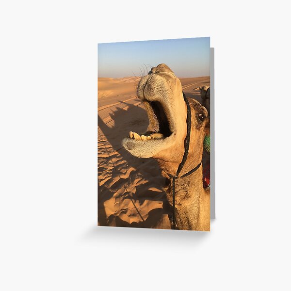 Camel Greeting Card