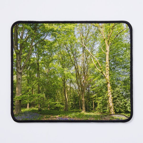 Item preview, Bluebells in the woodland designed and sold by MichaelBShannon.