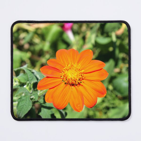 Item preview, Mexican sunflower  designed and sold by McFleur's Lens.