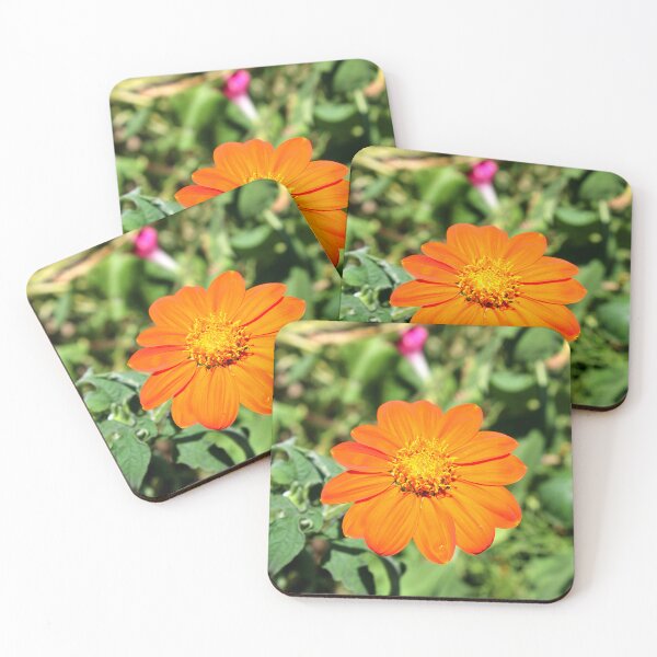 Item preview, Mexican sunflower  designed and sold by McFleur's Lens.