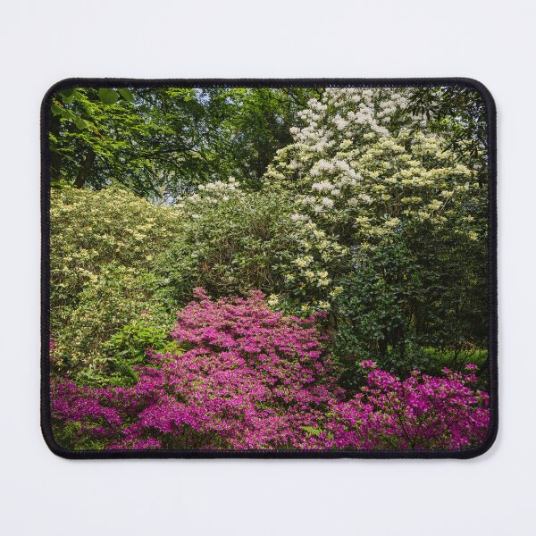 Item preview, English Woodland - Rhododendron shrubs designed and sold by MichaelBShannon.